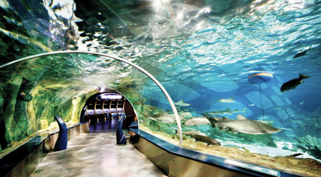 Sea Life Aquarium Istanbul